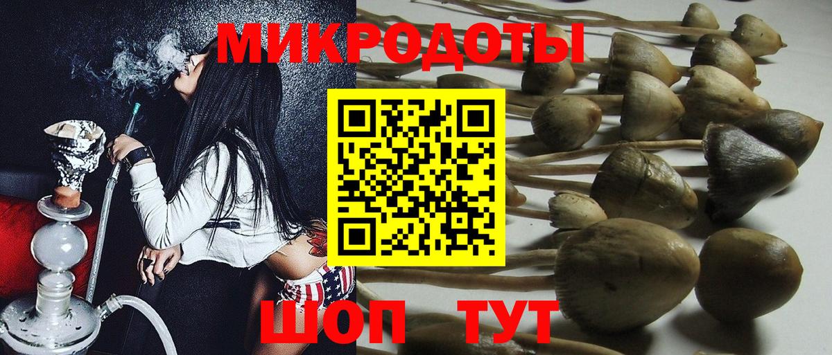 Псилоцибиновые грибы GOLDEN TEACHER  Галлюциногенные грибы GOLDEN TEACHER  Вход с VPN  где можно купить наркотик  Дзержинский 